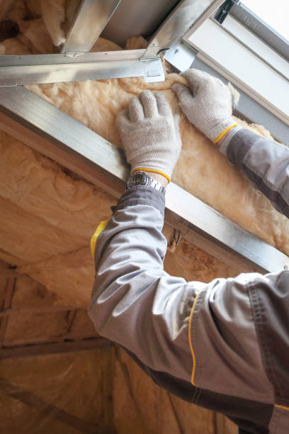 Best Spray Foam Insulation  in Oglala, SD