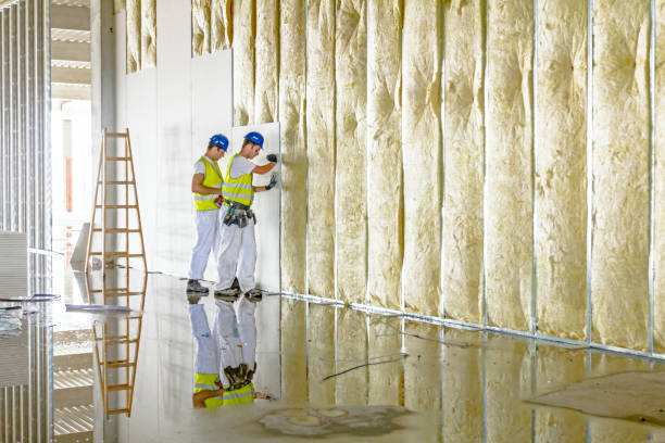 Best Insulation Inspection Services  in Oglala, SD